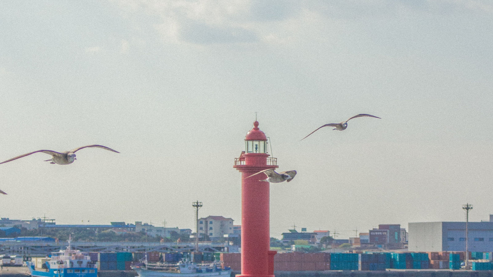 South Korea Immigrant Investor Scheme (Real Estate & Public Fund)